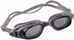 Ujumisprillid Crowell O2528, h&otilde;be