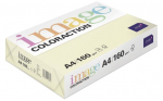 V&auml;rviline paber Antalis Image Coloraction, A4, 80 g/m&sup2;, kollane v., 29.7 cm x 21 cm