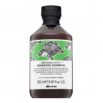 &Scaron;ampoon Davines NaturalTech Renewing, 250 ml