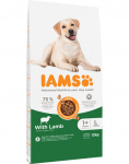 Kuiv koeratoit IAMS Vitality Adult Large, lambaliha, 12 kg