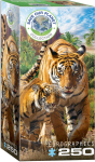 Pusle Eurographics Save Our Planet Tigers 8251-5559, 48.2 cm x 33 cm, 250 tk, mitmev&auml;rviline