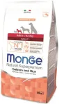 Kuiv koeratoit Monge Mini Adult, riis/l&otilde;he, 0.8 kg
