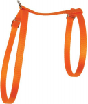 Kasside traksid Zolux Nylon 546132ORA x 10 mm, oranž v.