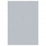 Vaip sise Ayyildiz 601105400, h&otilde;be v., 110 cm x 60 cm