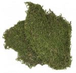 Substraat Terra Natura Moss, 0.1 kg