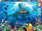 Pusle Educa Great White Shark, 34 cm x 48 cm, 500 tk, mitmev&auml;rviline