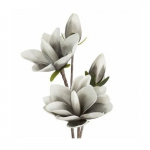 Kunstlill, magnoolia Flore 667, p&otilde;gus hall, 59 cm x 17 cm