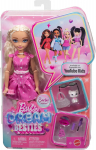 Nukk aksessuaaridega Mattel Barbie Dream Besties Malibu JKP50, 30 cm, roosa v.
