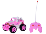 Rc maastikuauto Princess, roosa v.