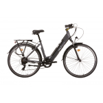 Elektriratas Denver Emotive, 28", 250 W, 13 Ah, hall v.