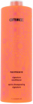 Juukse konditsioneer Amika Normcore Signature, 1000 ml