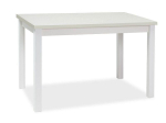 Kahjustatud pakendiga toode. Laud Scandinavian Adam, valge v., 100 cm x 60 cm x 75 cm