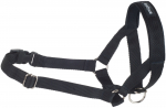 Antisnout koertele Amiplay Basic, XXL, must