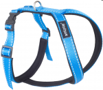 Koerte traksid Amiplay Reflective, sinine, 340 - 430 mm, 34-43