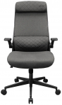 T&ouml;&ouml;tool Cougar Stryder, tumehall v.