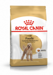 Kuiv koeratoit Royal Canin Poodle Adult, kanaliha, 1.5 kg