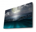 Dekoratsioon Wallity Canvas Painting, 45 cm, mitmev&auml;rviline