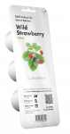 Nutiaia seemned Click & Grow, fragaria, 50 g, 3 tk