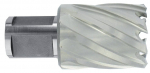 Augufrees Tivoly Short, 2 cm