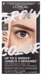 Kulmude meigikomplekt L&rsquo;Or&eacute;al Paris Brow Color, 15 ml, brunette 005