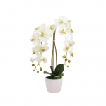 Kunstlilled vaasis, orhidee Orchid, roosa, 25 cm x 20 cm