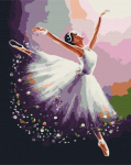 Maalimine numbrite j&auml;rgi Paint it! Ballet, mitmev&auml;rviline