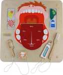Arendav tahvel Masterkidz Oral Hygiene, EN, mitmev&auml;rviline