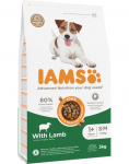 Kuiv koeratoit IAMS Advanced Nutrition S/M, lambaliha, 3 kg