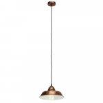 Valgust rippuv Eglo Auckland, 60 W, E27