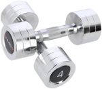 Raskuste komplekt HMS Chrome Dumbbells, 2 x 4 kg