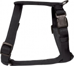 Koerte traksid Zolux Cushion, must