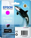 Tindiprinteri kassett Epson T7603, violetne v.