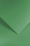 V&auml;rviline kartong Galeria Papieru Gladki, A4, 210 g/m&sup2;, roheline, 29.7 cm x 21 cm