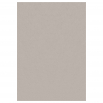 Vaip sise Ayyildiz SKY801505400BEIGE, beež v., 150 cm x 80 cm