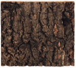 Terraariumi dekoratsioon Repti Planet Background cork natural, 190 mm x 173 mm