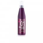 Juuksesprei Salerm Brushing Thermal 01, 250 ml