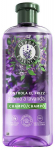 &Scaron;ampoon Herbal Essences Lavender Anti-Frizz, 350 ml