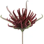 Kunstlill Flore 827, punane v., 62 cm