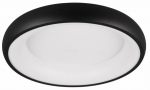 Valgusti plafoon Trio Cardona 649614532, LED, 2300 - 4000 &deg;K, 1 x 29 W, valge v./must v.