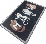 Vannitoa p&otilde;randamatt Foutastic Meocon 510CHL1125, mitmev&auml;rviline, 100 cm x 80 cm