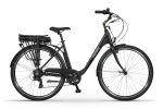 Elektriratas Ecobike Basic Greenway, 19", 28", 250 W, 11.6 Ah, must v.