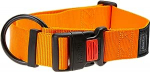 Kaelarihm koertele Beeztees, oranž v., 550 - 750 mm x 40 mm, 55-75