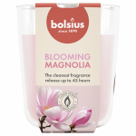 K&uuml;&uuml;nal, l&otilde;hna Bolsius Blooming Magnolia, 45 h, Roosa