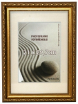 Fotoraam Fotolita 204-546, 60 cm x 40 cm, kuldne v.