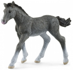 M&auml;ngukujuke Schleich Trakehner Foal 13944, 2.2 cm, hall v.