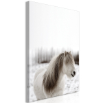 Reproduktsioon Artgeist Horse Mane DKNW0715-S, 20 cm x 30 cm