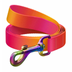 Koera rihm Waudog, oranž v., 1.22 m