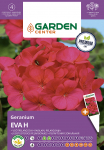 Seemned Garden Center pelargoonid EVA H, 5 tk