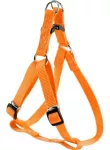 Koerte traksid Zolux Step-in, oranž v., 490 - 790 mm x 20 mm, 49-79