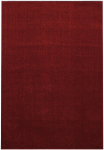 Vaip sise Ayyildiz Ata 7000, punane v., 230 cm x 160 cm